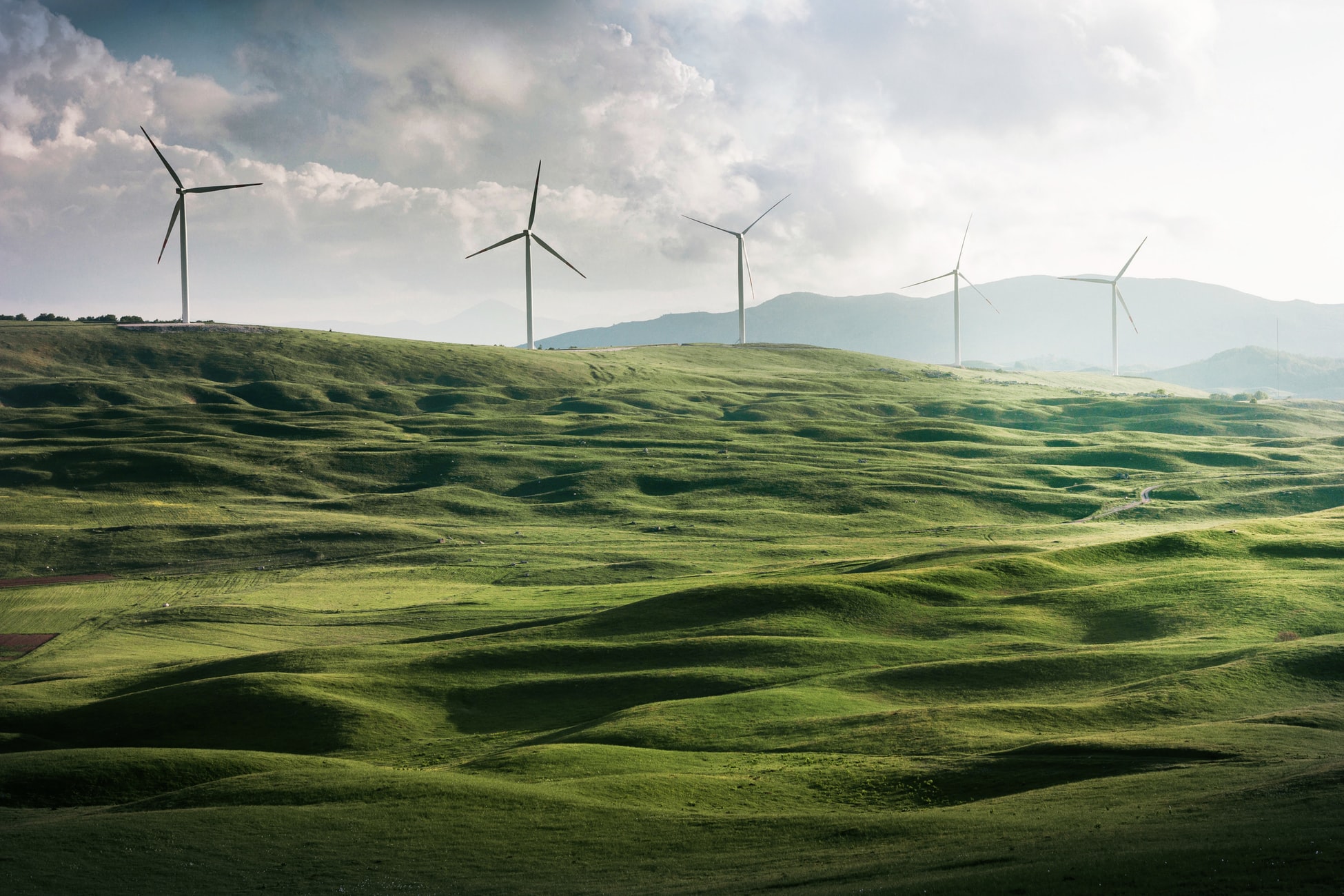 Collines verdoyantes avec 5 éoliennes